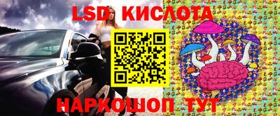 индика Ливны