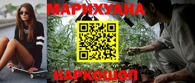 индика Ливны