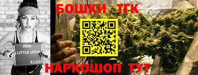 индика Ливны